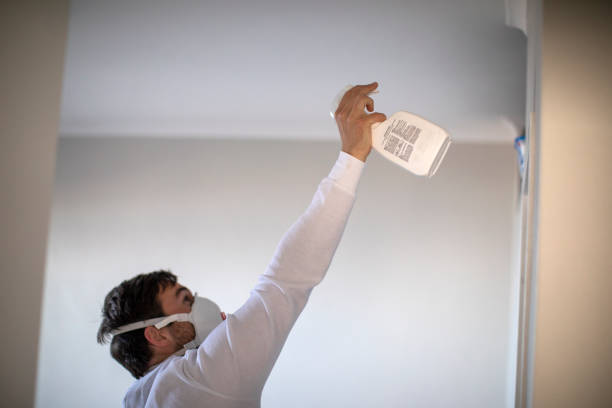 Best Commercial Mold Remediation in Eslon, CA